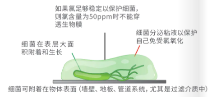 濾料,泳池水處理,低氯,泳池運(yùn)營