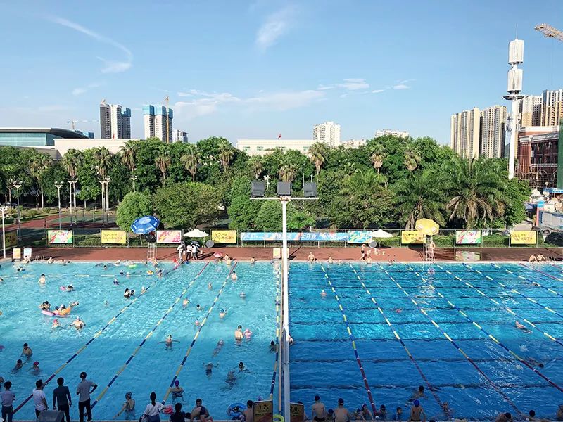 游泳池藻類,游泳池藻類清理方案,游泳池藻類清除