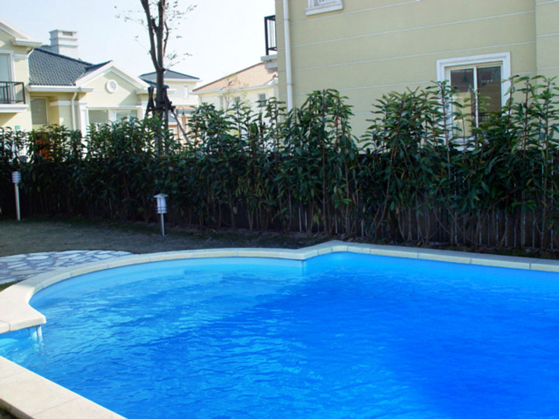 游泳池微生物污染,游泳池水質處理,游泳池水消毒